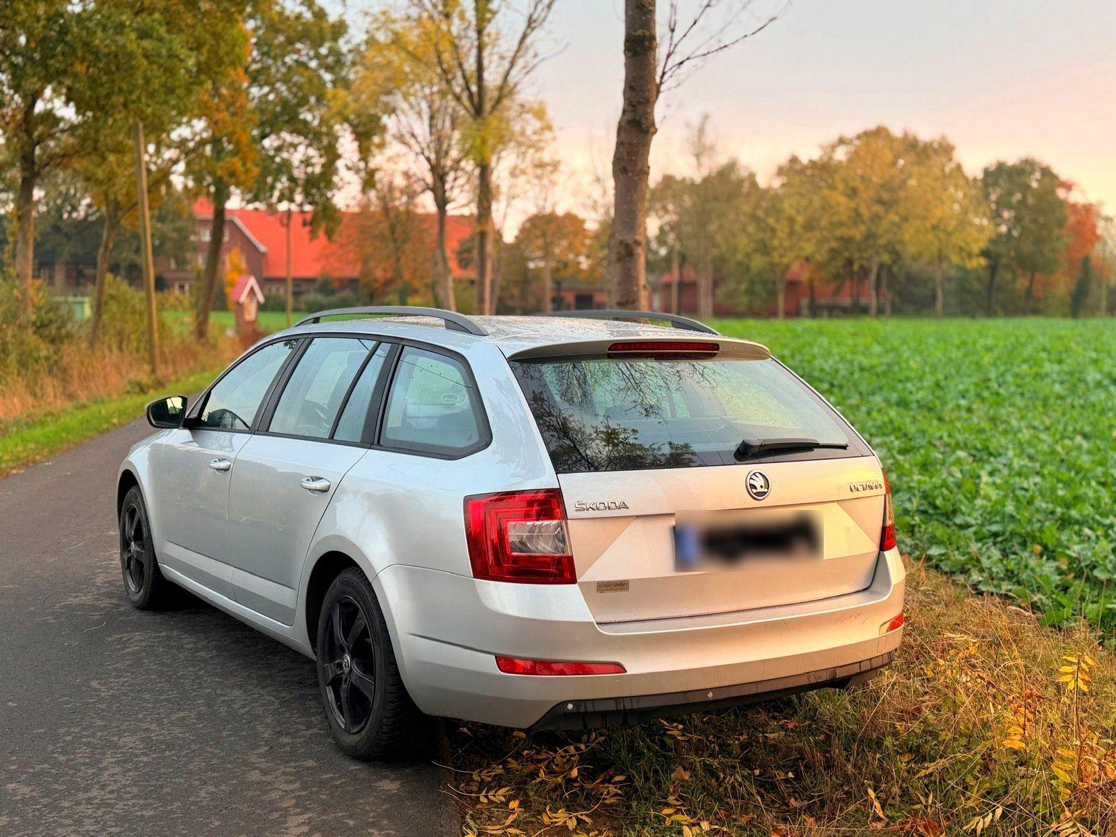 Skoda Octavia 2015 — photo 8