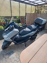 Honda Forza - Honda Motorräder in Saarbrücken