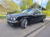 Jaguar JAGUAR XJ 8 Traumfahrzeug - Jaguar XJ8: Jag