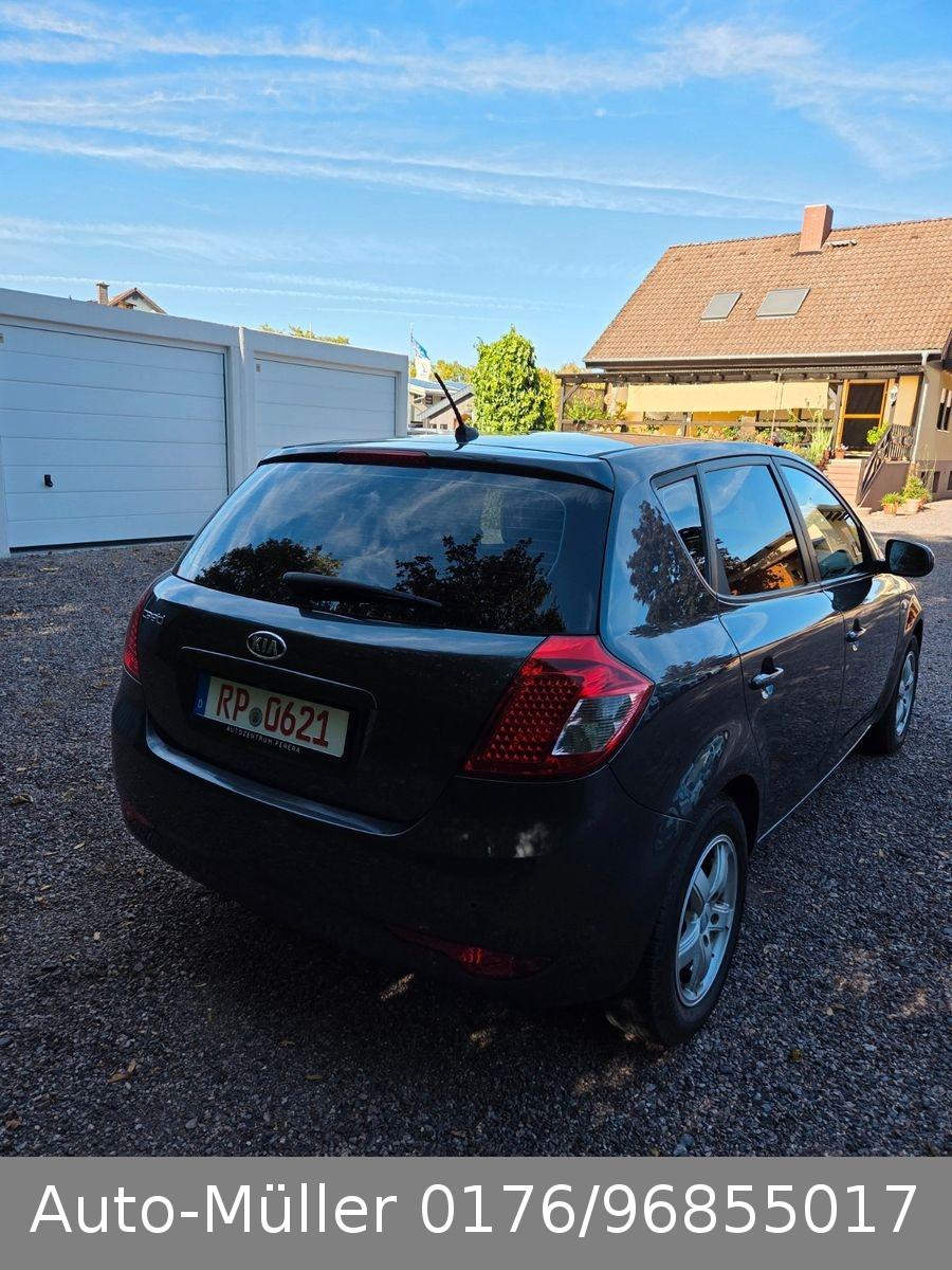 Kia ANDERE Ceed Edition 7