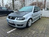 Volkswagen VW Polo 6N2 GTI - Volkswagen Golf aus 2001: GTI