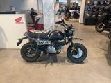 Honda Monkey 125 2026 Matt Black *sofort verfügbar* - Offers