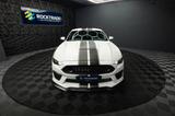 Ford Mustang Shelby GT 500 Coupe Performance PREMIUM - Ford: Shelby