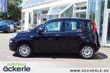 Fiat Panda Easy I Komfort-Paket I Allwetter I - gebrauchte Fiat Panda aus dem Jahr 2019