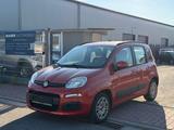 Fiat Panda Lounge - Fiat Panda Gebrauchtwagen in Mannheim