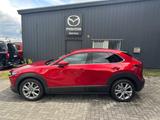 Mazda CX-30 Selection HUD Navi Soundsystem Bose 360 Ka - Mazda CX-30 Gebrauchtwagen in Köln