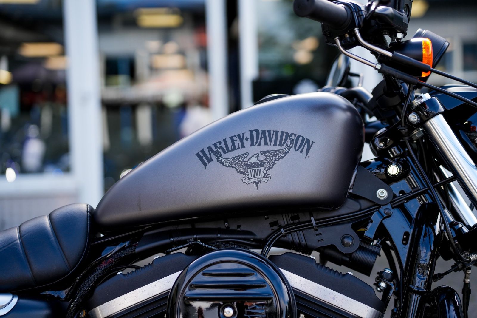 Fahrzeugabbildung Harley-Davidson SPORTSTER XL883N IRON