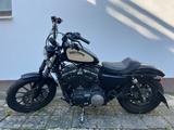 Harley-Davidson Sportster XL 883 N Iron - gebrauchte Motorräder in Kassel