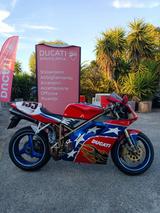 Ducati 916 BIPOSTO - DUCATI 916 BIPOSTO