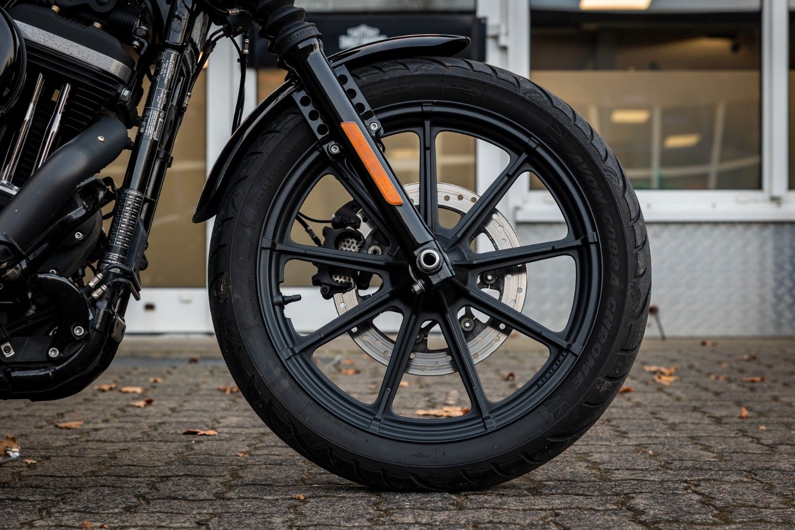 Fahrzeugabbildung Harley-Davidson XL883N - Iron 883 Auspuff - Kesstech - Ape