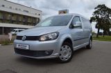 Volkswagen 1.6 TDI Caddy Maxi Roncalli/ SHZ/Klimaauto/Temp - Volkswagen Caddy: Roncalli Maxi