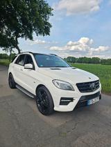 Mercedes-Benz ML 350 BlueTEC 4MATIC - - Mercedes-Benz ML 350 Gebrauchtwagen in Bremen