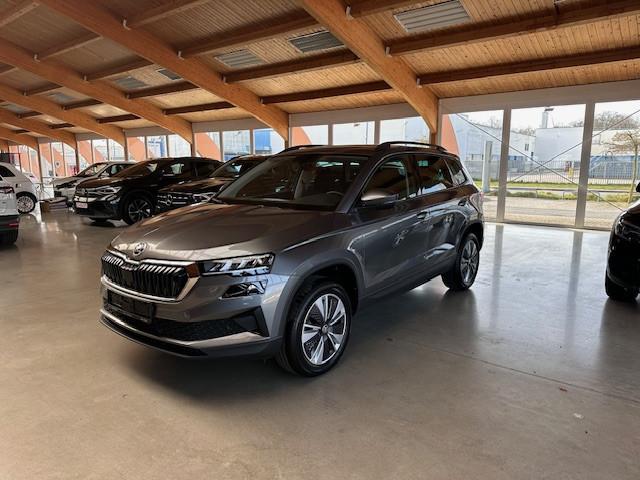 Skoda Karoq 2.0 TDI DSG Ambition RFK+Standheizung