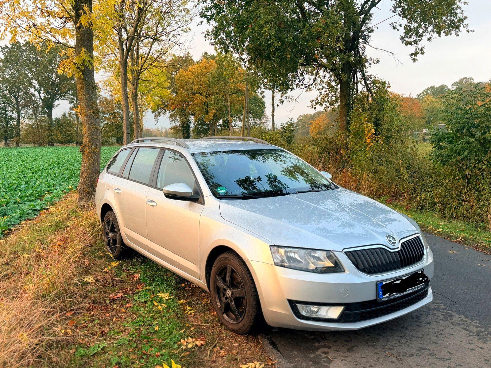 Skoda Octavia 2015 — photo 5