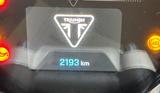 Triumph Trident 660 - TRIUMPH TRIDENT