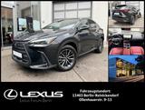 Lexus NX 450h+ E-Four  Executive Line - Lexus NX-Serie in Berlin