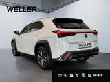 Lexus UX 300h 2,0, 199 PS CVT, 4x2 Hybrid 5-Türer F-SP - weiße Lexus UX