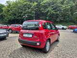 Fiat Pandina 1.0 GSE Hybrid 48 kW Icon - rote Fiat New Panda