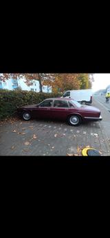 Jaguar XJ 40 Oldtimer - Jaguar XJ40 Gebrauchtwagen