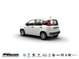 Fiat Panda MY25 Hybrid 1.0 GSE JULI CITY-PAKET TEMPOM - Fiat Panda New cars mit Benzin-Antrieb: Kleinwagen