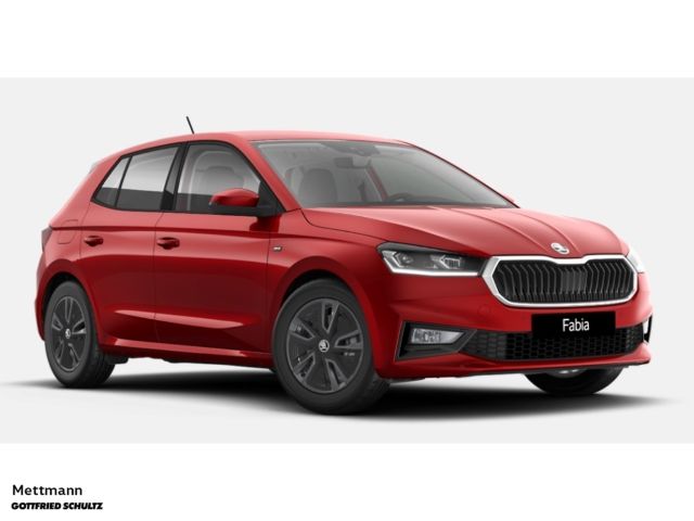 Skoda Fabia Drive 1.0 TSI DSG Winterpaket  Infotainmen