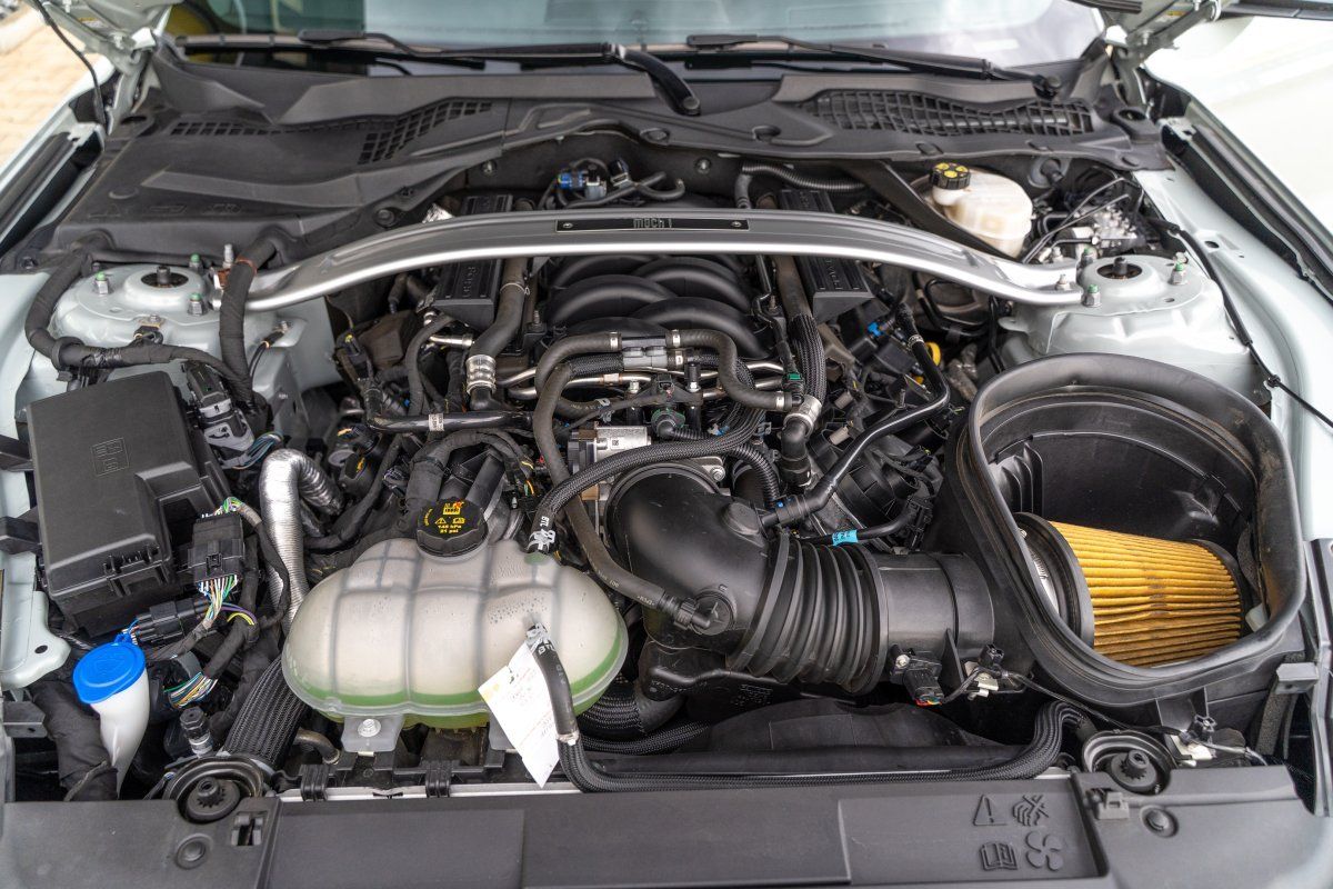 Ford Mustang (Mach1 5.0 V8 Styling-Paket/1.Hand)
