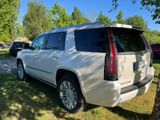 Cadillac Escalade 6.2 V8 Neu TÜV ( kein SRT, Tahoe) - Cadillac: Pickup