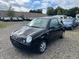 Volkswagen Lupo 1.0 Oxford Zahnriemen Neu* TÜV NEU* - VW Lupo Gebrauchtwagen