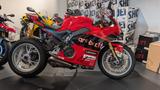 Ducati Panigale V4 World Championship Replica Bautista - DUCATI REPLICA