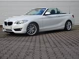 BMW 228i Cabrio Advantage Xenon Navi HiFi elSitze SH - BMW 228 in Stuttgart