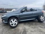 Peugeot 206 Cabriolet CC Platinum - Peugeot 206 aus 2006: 206cc