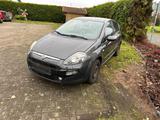 Fiat Punto 1.2  Zuverlässig, sparsam, 8-f... - Fiat Punto in Bremen
