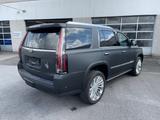 Cadillac Escalade 6.2 V8 Platinum Europamodel DVD-Multime - Cadillac Escalade Gebrauchtwagen