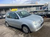 Volkswagen Lupo 1.4 44kW, Tüv-10.2026, Euro 4 - Volkswagen Lupo mit Panoramadach