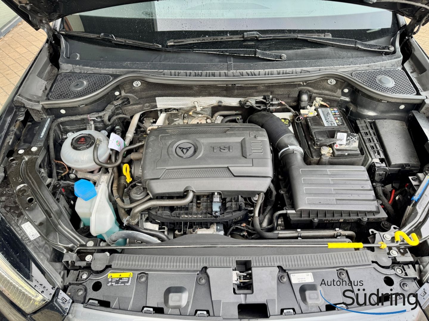 Ateca 2,0 TSI 4Drive DSG AHK Navi 360 Kamera LED