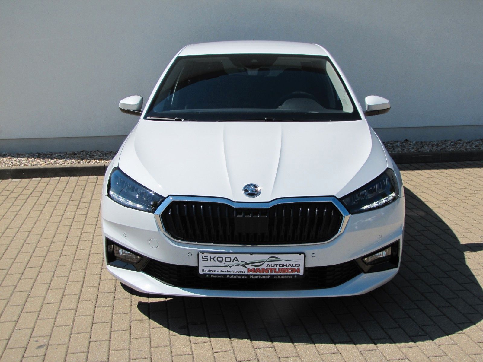 Fahrzeugabbildung SKODA Fabia Selection 1.0 TSI 95PS