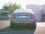 BMW 230i Coupé M Sportpaket - graue BMW 230