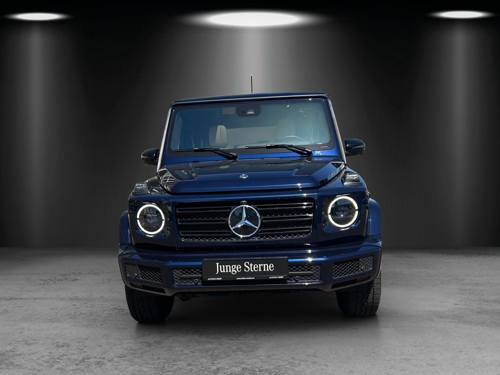 Fahrzeugabbildung Mercedes-Benz G500 Professio AHK Exclusiv Massage Standhz MLED
