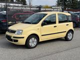 Fiat Panda 1.2 8V Dynamic TÜV&Service Neu - Fiat Panda Gebrauchtwagen in Hamburg