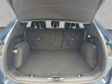 Ford Kuga 2.0 EcoBlue Aut. ST-LINE X - Ford Kuga aus 2023