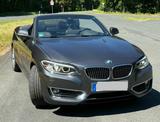 BMW 228i Cabrio BJ 2015 Automatik 75.000 km - BMW: Cabrio, 7
