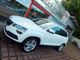 Skoda Karoq Ambition 4x4 LED NAVI AHZV - Skoda Karoq Gebrauchtwagen in Dresden