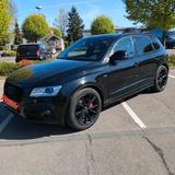 Audi Q5 3.0 Tdi Black Edition - Audi Q5 Black Edition Gebrauchtwagen