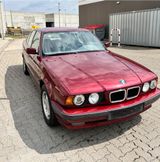 BMW 525 tds E34 1. Hand rostfrei Originalz... - BMW 525: Tds