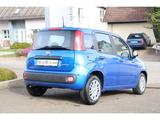 Fiat Pandina PANDA ICON HYBRID 1.0 GSE 65PS PDC RADIO - Fiat New Panda: Kleinwagen