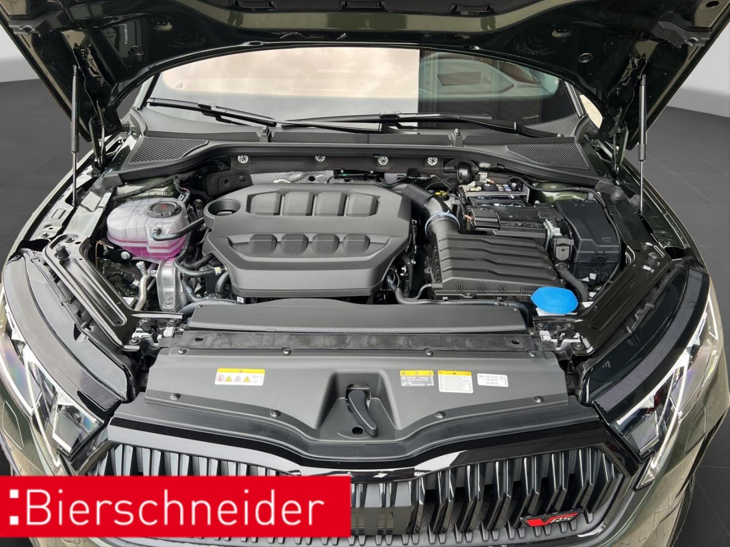 Skoda Octavia 2.0 TSI DSG RS CANTON DCC AHK HEAD-UP MA