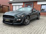 Ford Mustang 2.3 EcoBoost/Cabrio/SHZ/S.Luft/Navi/Led - Ford: Cabrio