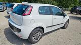 Fiat Punto 1.2 Style ALU 05/2026 - Fiat Punto: Style