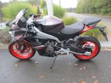 Aprilia RS 457 Aus 1 Hand !!! - APRILIA VON 251 BIS 500 CCM