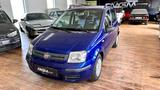 Fiat Panda 1.2 8V Dynamic*TüvNeu*Pdc - Fiat Panda: Dynamic